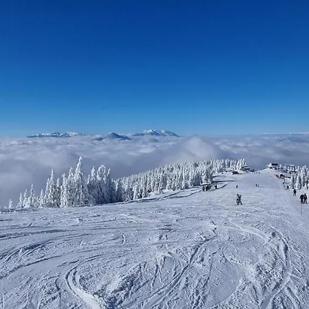 Kope, Jagoda 8 - 2 סלובן גראדץ